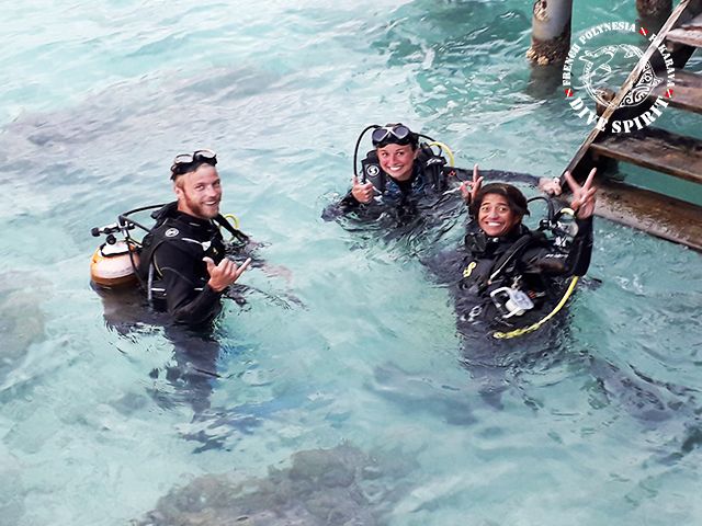 DSF Discovery Dives