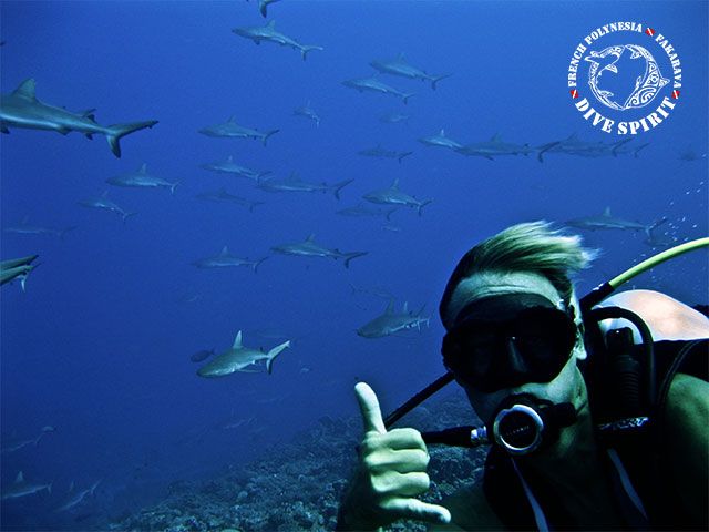 DSF Fun Dives South